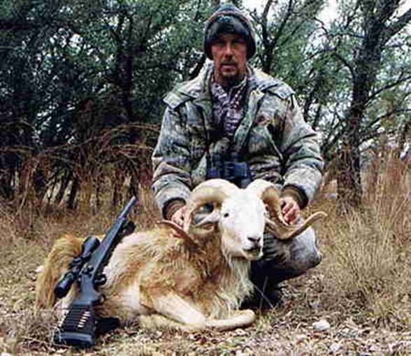 ram