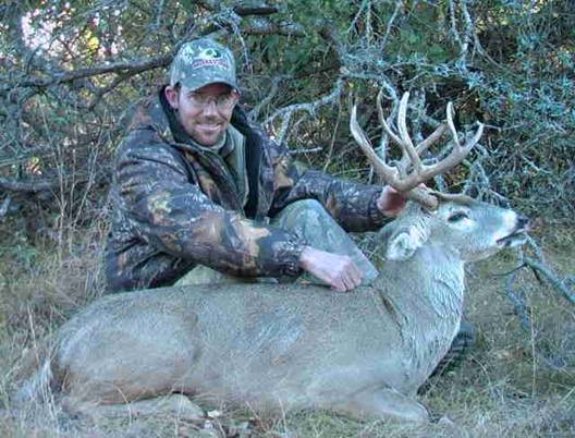 trophy 9 pt buck