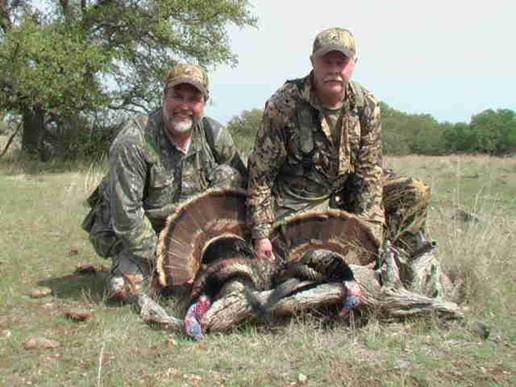 a double turkey harvest