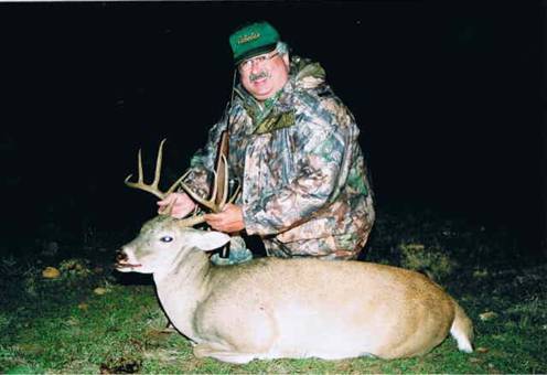 whitetail
