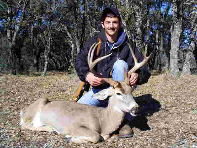 whitetail