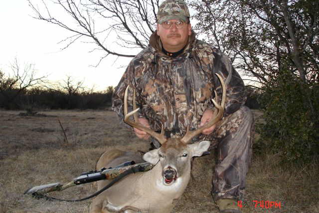 whitetail