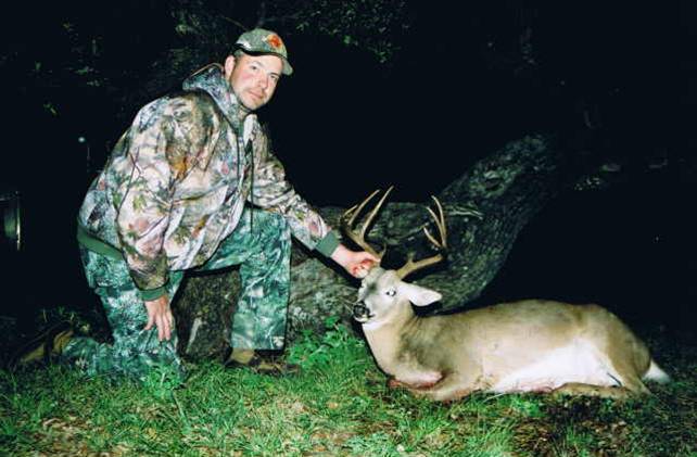 whitetail