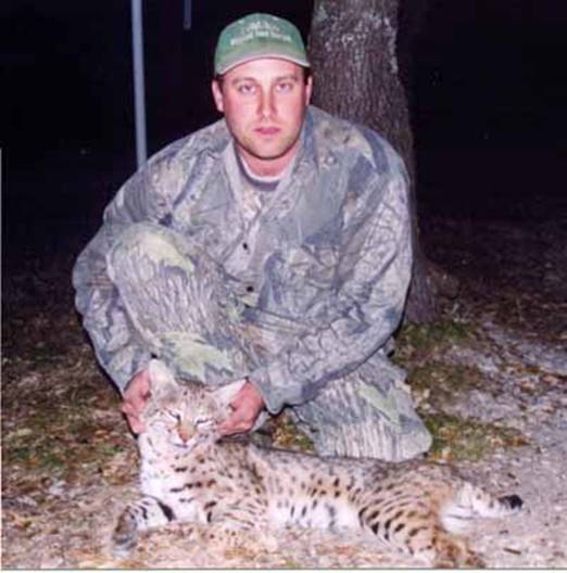 Bobcat