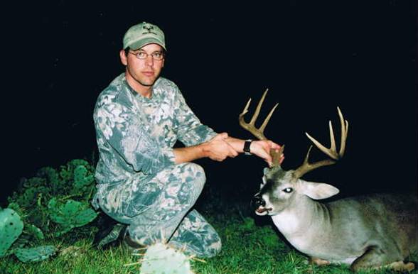whitetail