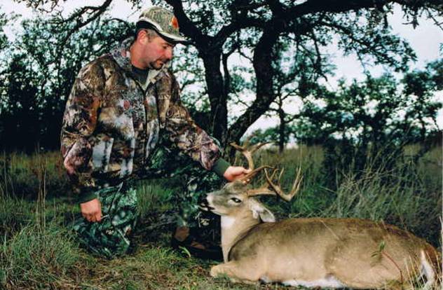 whitetail