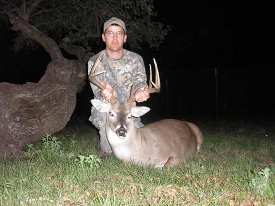 whitetail