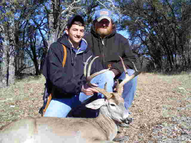 whitetail