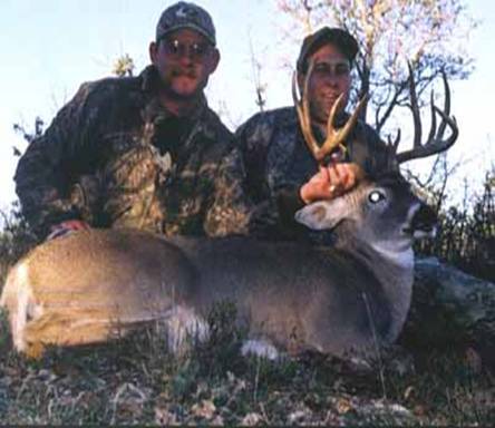 13 point trophy white-tailed buck